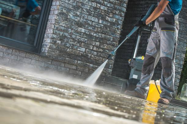 Best Roof Cleaning and Mildew Removal in Tucson Estates, AZ